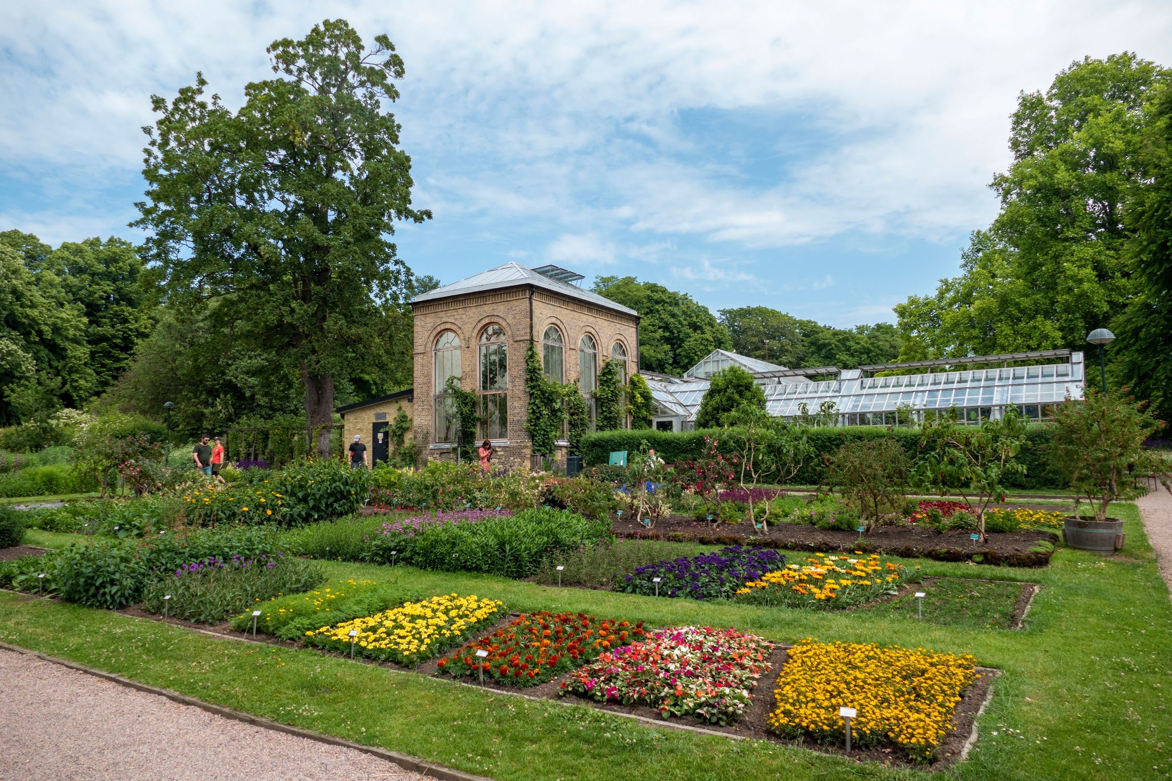 Botaniska trädgården (Lund University Botanical Garden) - Café